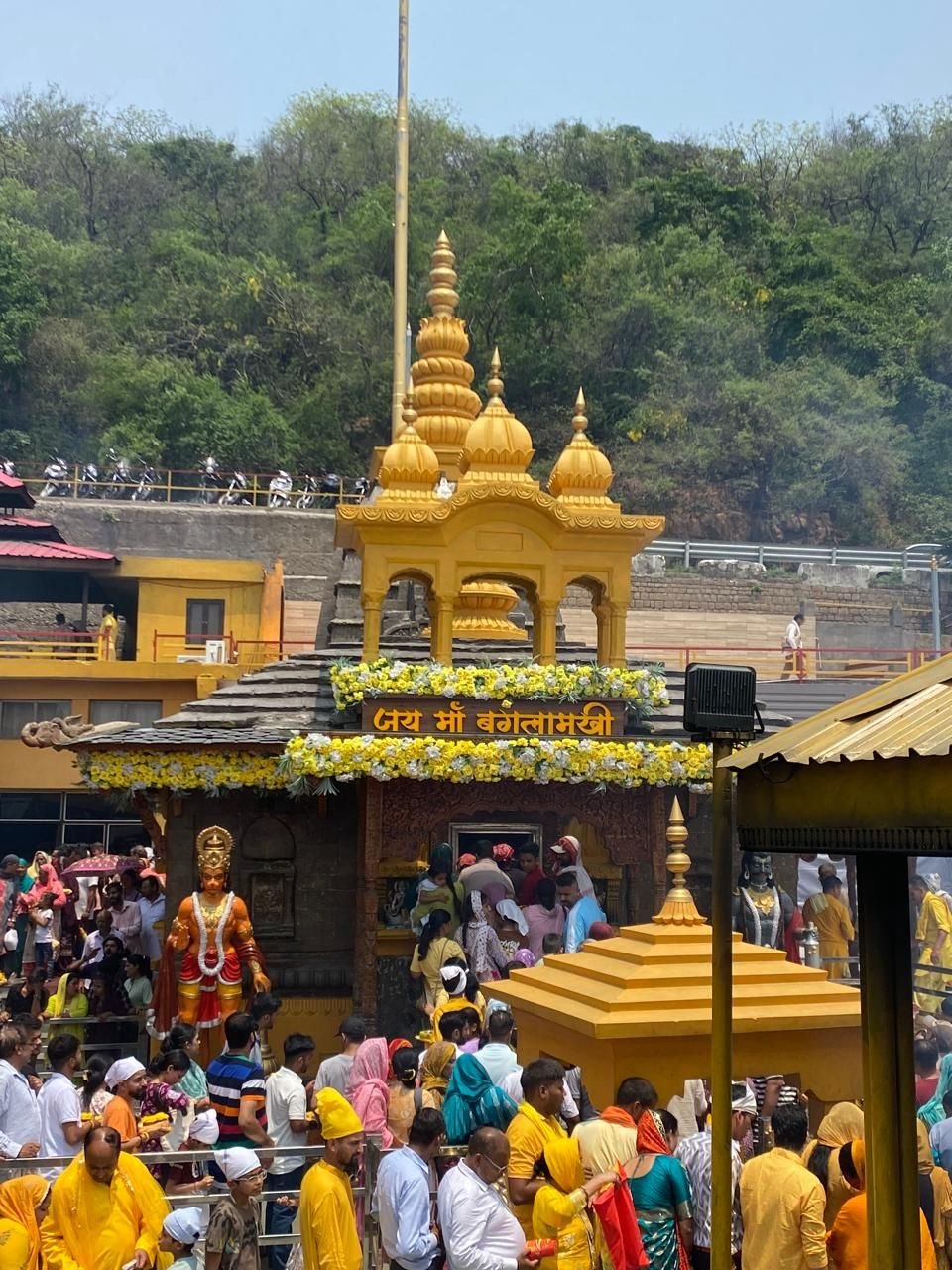 Lush green tea plantation